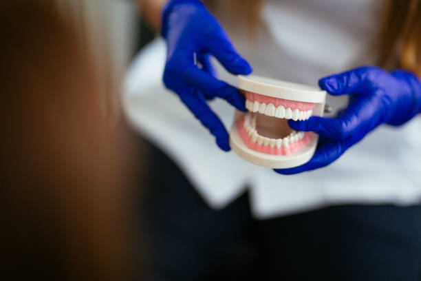  South Kensington, MD Holistic Dental Services Pros